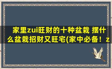 家里zui旺财的十种盆栽 摆什么盆栽招财又旺宅(家中必备！zui旺财的十种盆栽， 让你的宅邸财源滚滚，好运连连!)